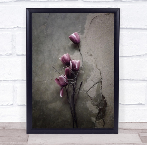 Flower Flowers Purple Pink Wall Concrete Crack Broken Decay Wall Art Print