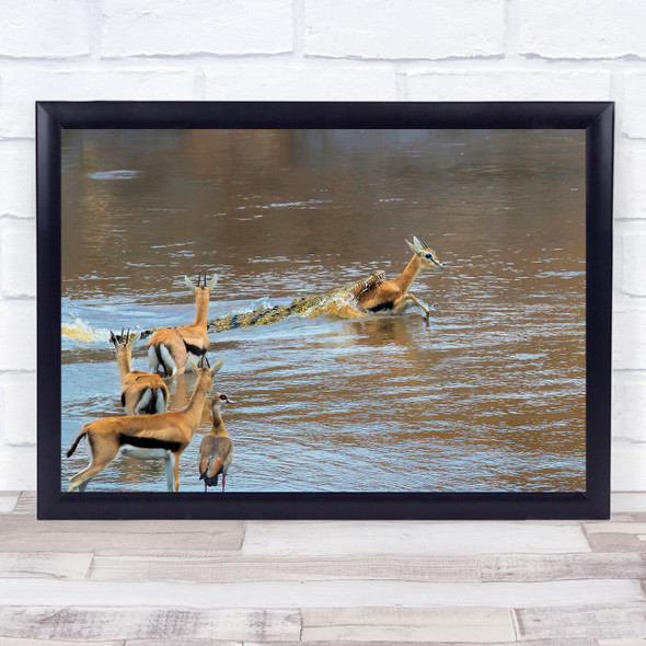 Gazelle Crossing River Crocodile Animal Wildlife Crocodiles Wall Art Print