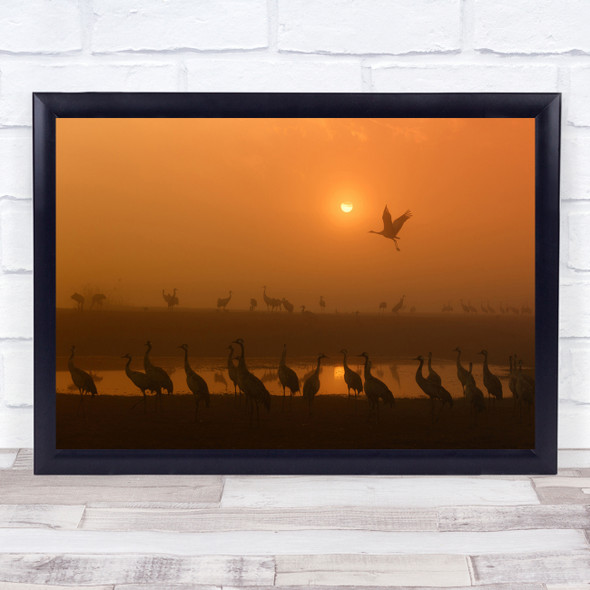Hula Birds Cranes Avian Sunrise Wildlife Nature Orange Gold Wall Art Print