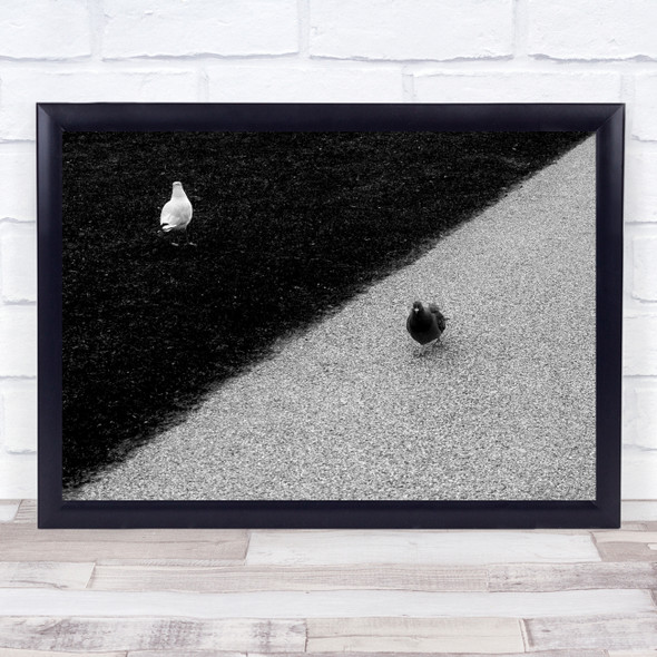 Seagull Dove Black-and-white Baw Synchronization Conceptual Wall Art Print