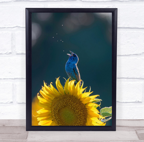 Bird Sunflower Field Bird Summer Morning Sunflowers Flower Wall Art Print