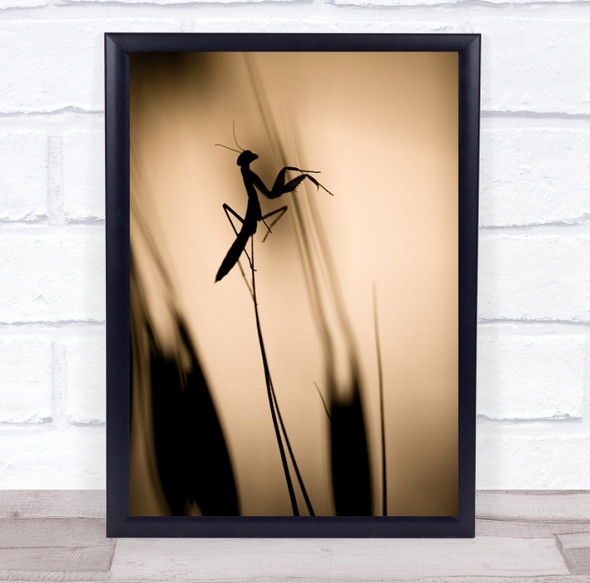 Graphic Silhouette Mantis Insect Macro Nowords Sepia Toned Wall Art Print