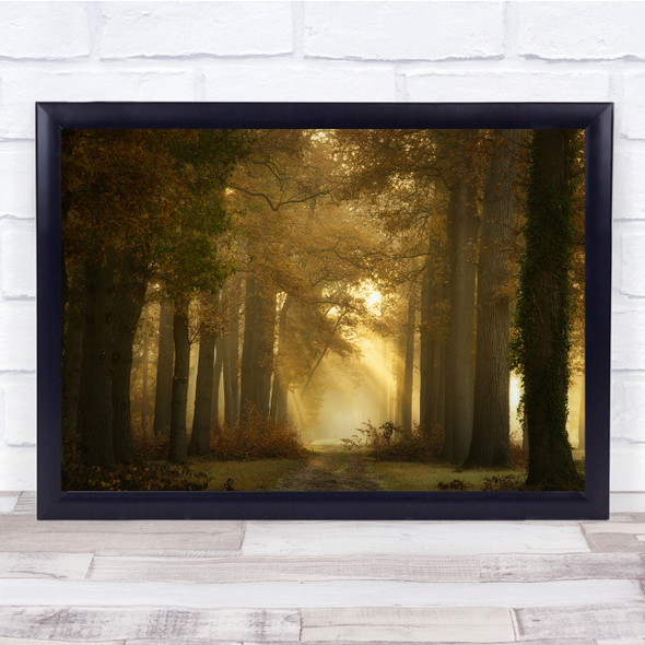 Landscape Forest Dutch Sunlight Sunbeams Autumn Fall Trees Wall Art Print