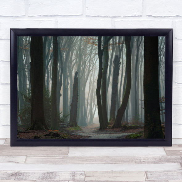 Landscape Veluwe Speulderbos Netherlands Forest Dead Death Wall Art Print