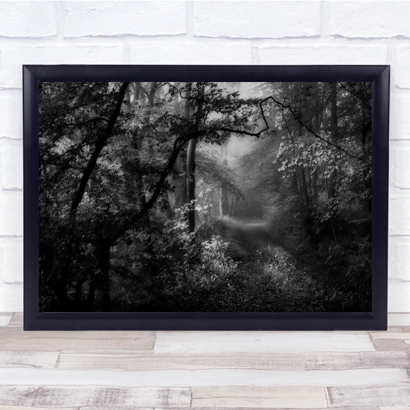 Path Destination Landscape Forest Black & White Atmosphere Wall Art Print