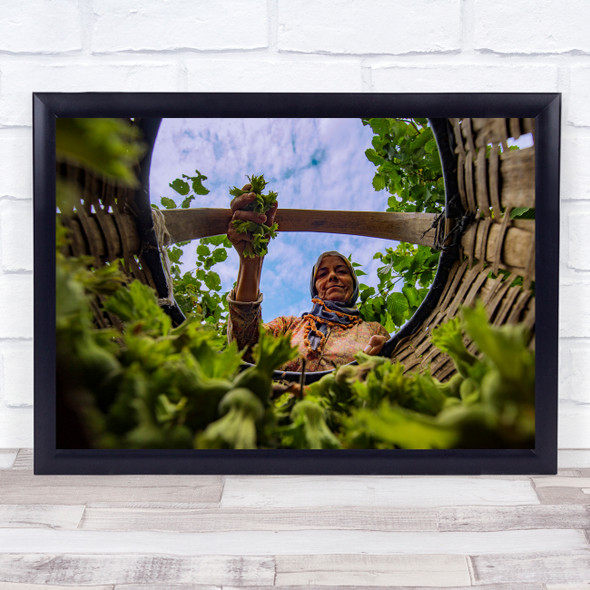 Turkey Ordu Perspective Basket Lady Woman Old Farm Farming Wall Art Print