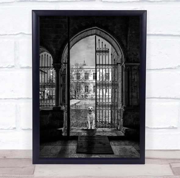 Waiting For The Best Friend dog by archway black and white Wall Art Print