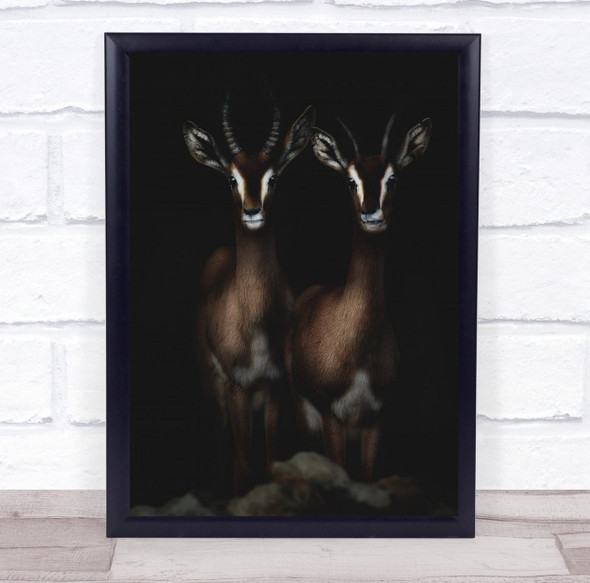 Gazelle Dark Low Key Low-Key Creative Edit Animal Animals Wall Art Print