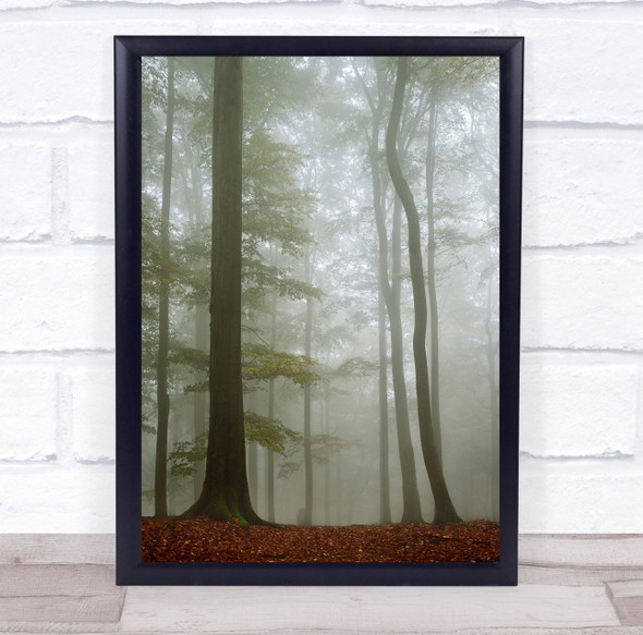 Mood Fog Trees Forest Autumn Stekl Czech Republic Mystery Wall Art Print