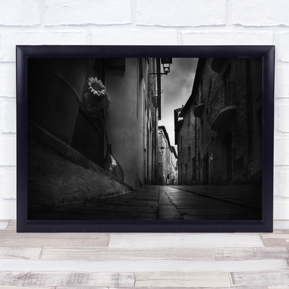 Sunflowers In The Alley up shot black and white buildings Wall Art Print