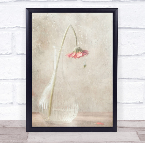 High Key High-Key Flower Vase Soft Pink Petal Still Life Wall Art Print