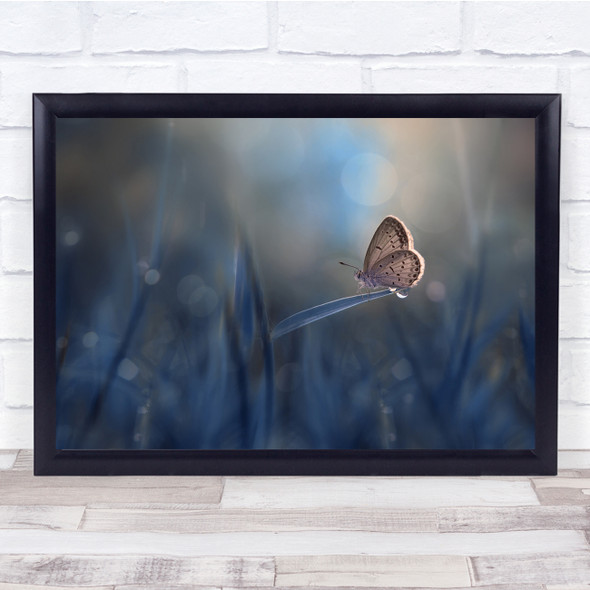 Lonely Butterfly On Grass Macro Close Up Bokeh Landscape Wall Art Print