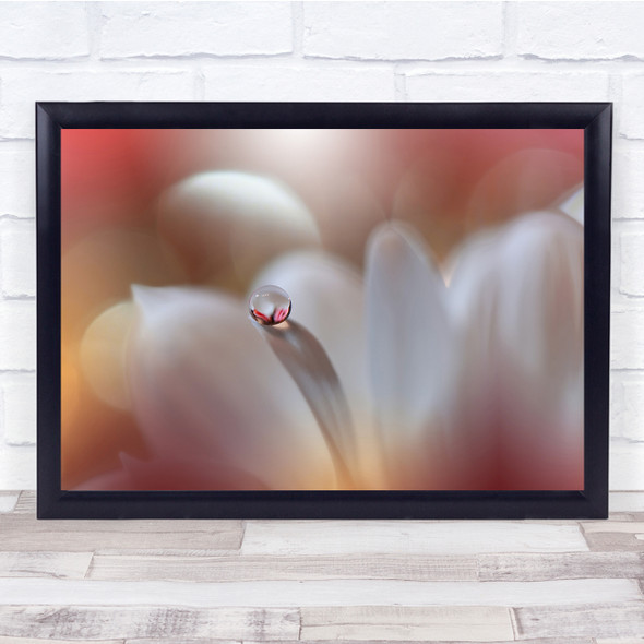 Flower Floral Macro Drops Droplet Soft Delicate Colours Wall Art Print