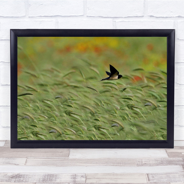 Nature Flight Swallow Freedom Spring Countryside Flying Wall Art Print