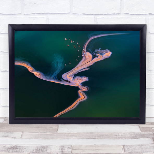 Aerial Lake Water Flamingo Bird Colour Wildlife Nature Wall Art Print