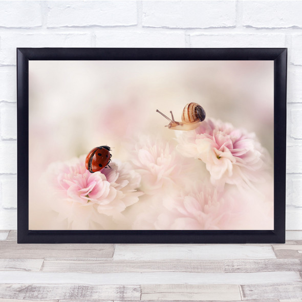 Ladybird Snail Flower Chrysanthemum Summer Pastel Pink Wall Art Print