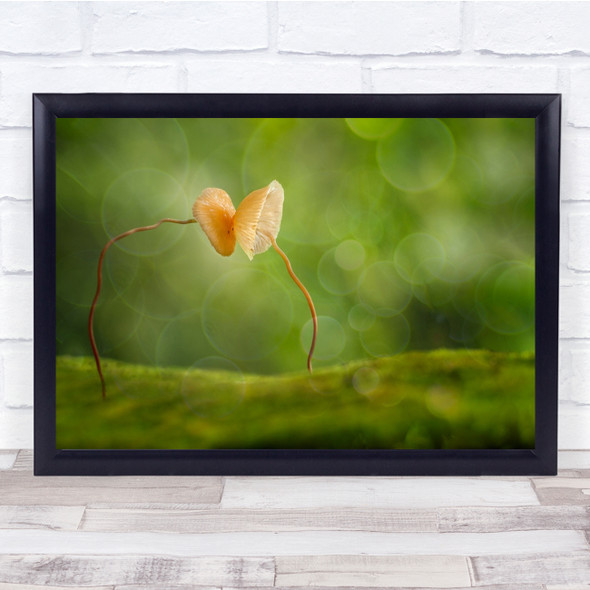 You and I Skinny mushrooms head to head Close up green Wall Art Print