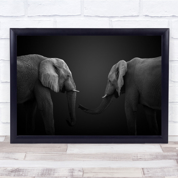 Elephants Animals Mammals Edit Animal Elephant Couple Wall Art Print
