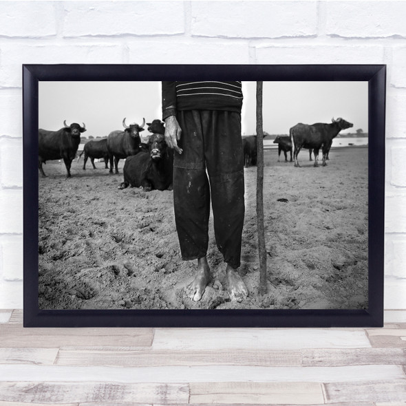 Me, Myself And My Buffalos shepherd lifestyle animals Wall Art Print