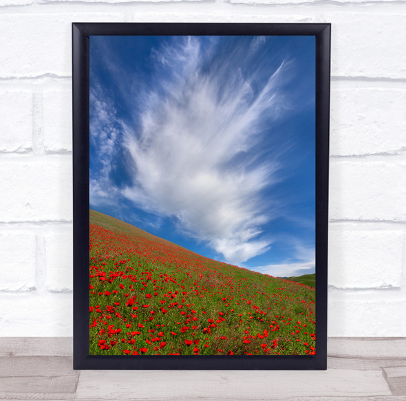 Red Poppies Blue Sky White Clouds Flowers In Tianshan Wall Art Print
