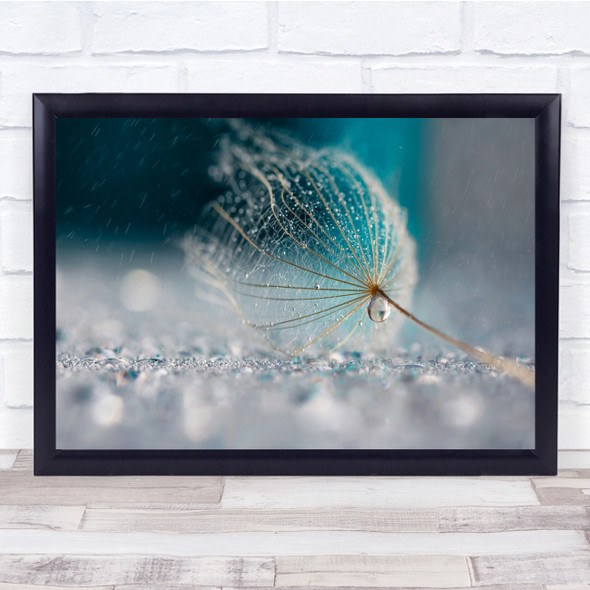 Dandelion Seed Drop Reflection Water Drops Rain Blue Wall Art Print