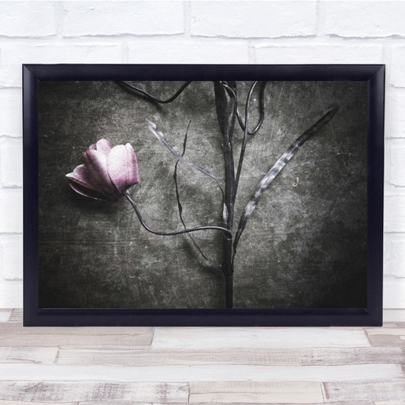 Flowers Still Life Botanical Rose Texture Monochrome Wall Art Print