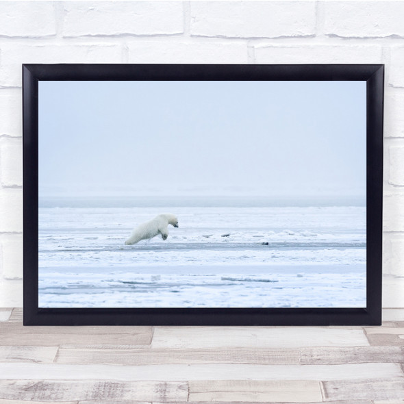 Polar bear Wildlife Animal Alaska Ice Into The Water Wall Art Print