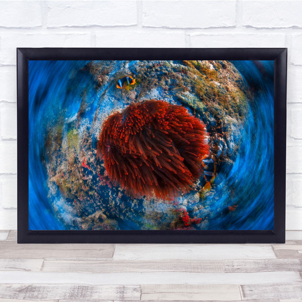Anemone Clownfish Sea Ocean Underwater Red Wildlife Wall Art Print