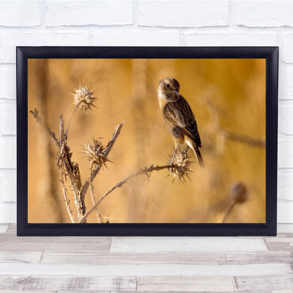 Birds Wildlife Nature Animal Animals Bokeh Panorama Wall Art Print