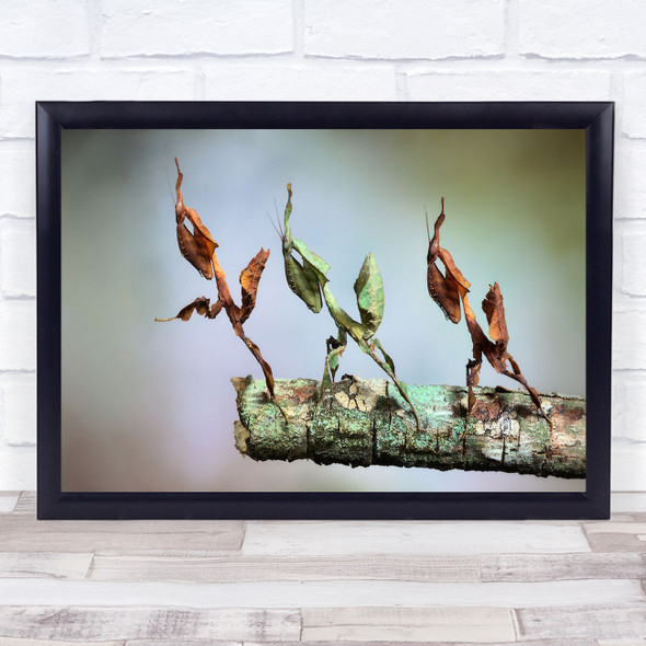 Into The Void Nature Figures praying mantis insects Wall Art Print