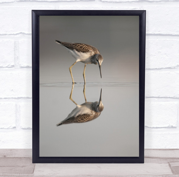 Nature Bird Morups Sweden Wildlife Reflection Birds Wall Art Print