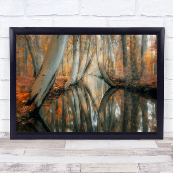 Swamp Blurry Autumn Fall Landscape Water reflection Wall Art Print