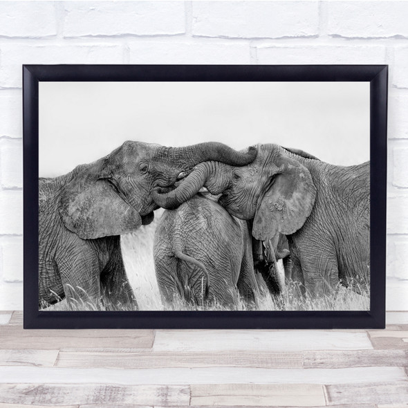 Elephant Black & White Wildlife Nature Animals Hug Wall Art Print