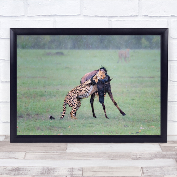 Hard Work leopard hunting antelope wildlife nature Wall Art Print