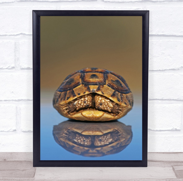 Turtle Shell Animal Reflection Hiding Hide Armored Wall Art Print