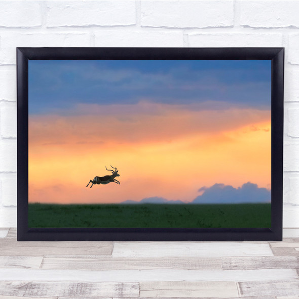 Wildlife Nature Animals Sunset Silhouette Antelope Wall Art Print