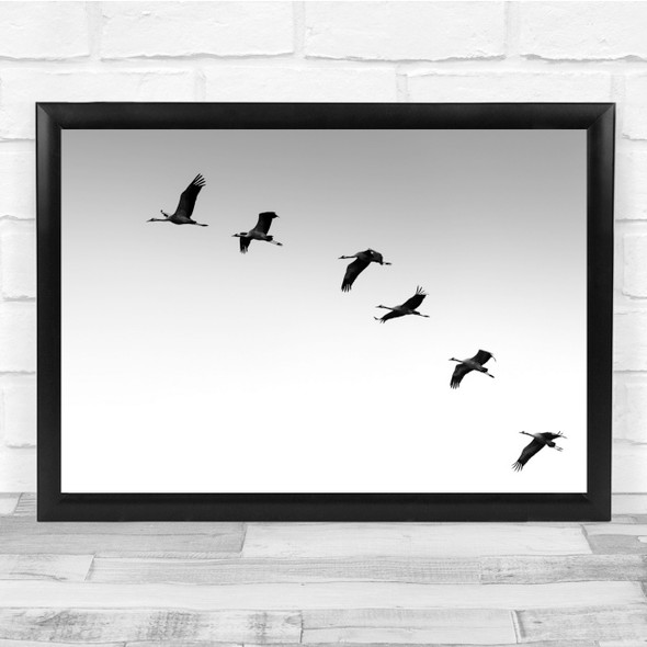 Cranes Animal Flight Formation Bird Black & White Wall Art Print