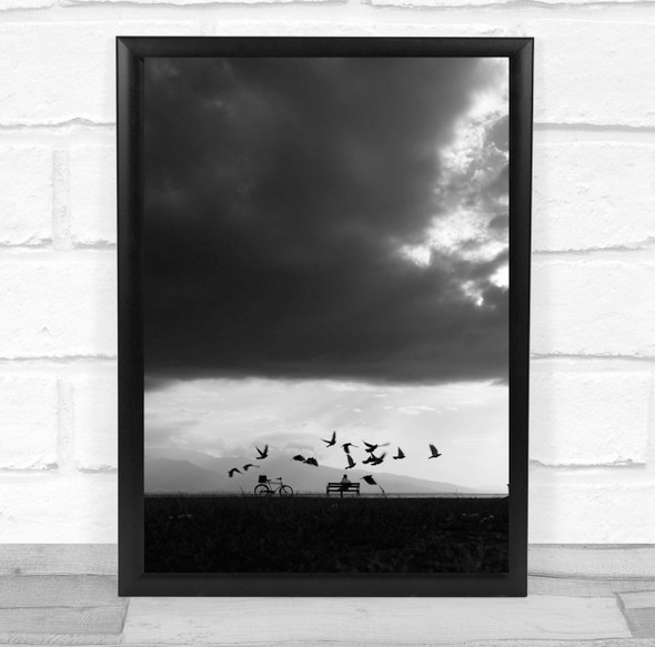 flock of birds black and white man bike and bench Wall Art Print