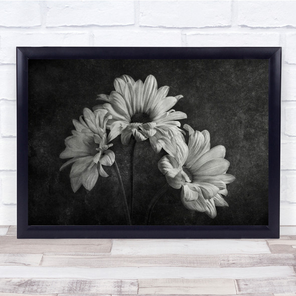 Flower Still Life Black & White Flowers Botanical Wall Art Print