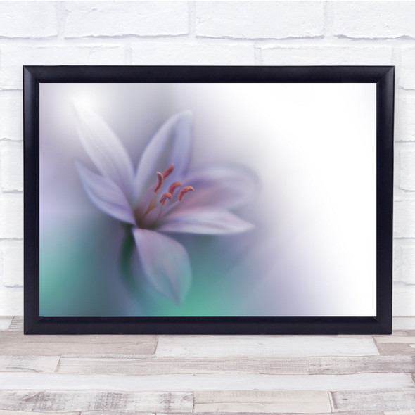 Spring Flower Floral Macro Soft Delicate Colours Wall Art Print