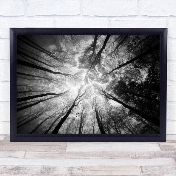 Tree Forest Landscape Sky Black White Converging Wall Art Print
