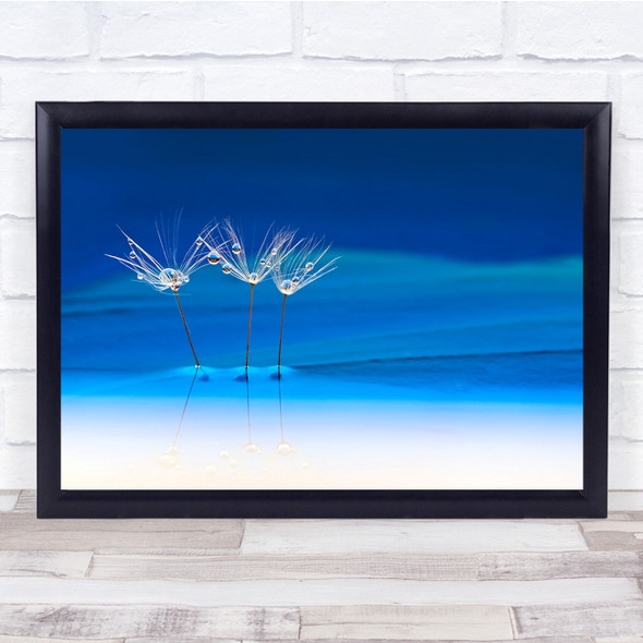 Water Droplet Abstract Blue dandelion Pearl Trio Wall Art Print