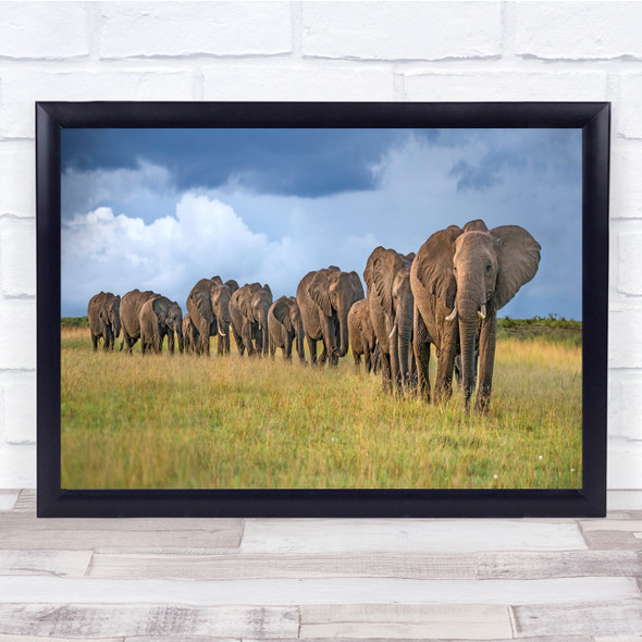 Africa Safari Plains Wildlife Herd of elephants Wall Art Print