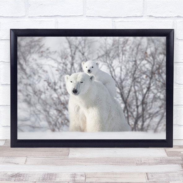 Alaska Polar Bears Cute Cub White Winter nature Wall Art Print