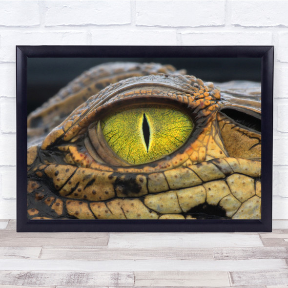 Crocodile Alligator Reptile Yellow eye close up Wall Art Print