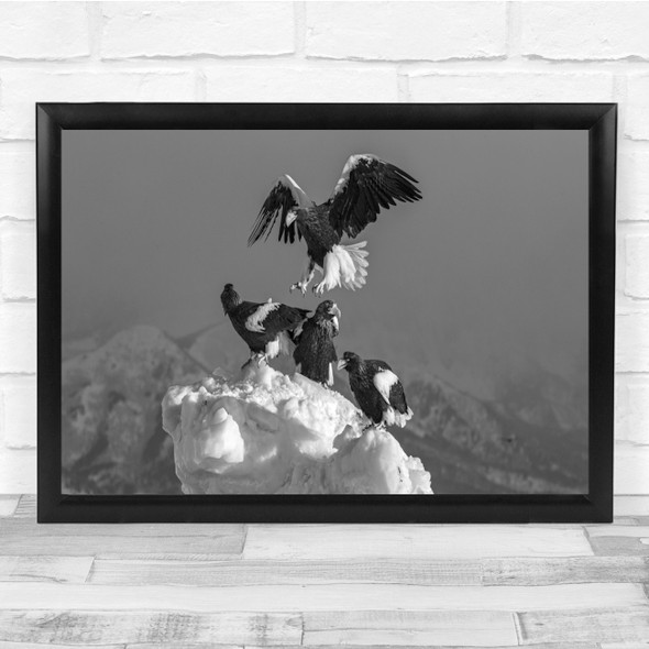 Eagles Sea Black & White Panorama action flight Wall Art Print