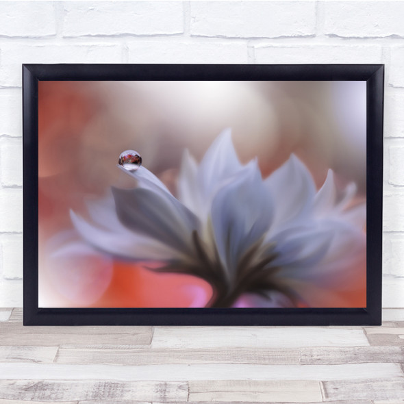 Flower Floral Macro Drops Droplet Soft Delicate Wall Art Print