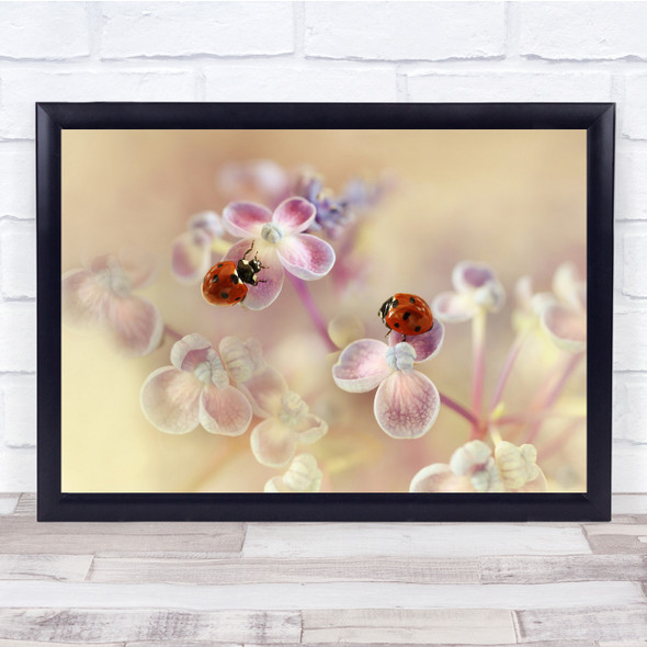 Ladybirds Hydrangea Macro Pastel Summer Flowers Wall Art Print