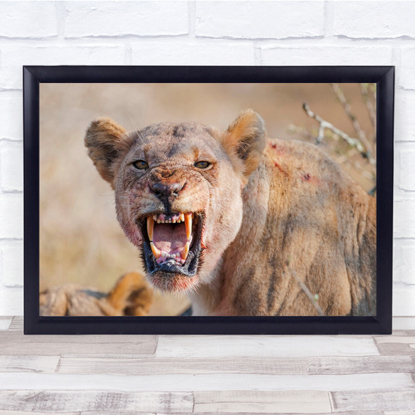 Lion Of Admfolozi blood teeth roar angry hunter Wall Art Print