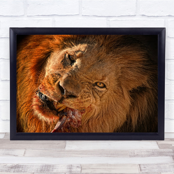 Nature Lion Predator Animal Wild Wildlife Cruel Wall Art Print